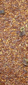 Rooibos Schoko Vanille