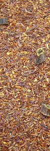 Rooibos Vanille Bio