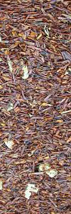 Rooibos Ingwer Bio