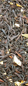 Tropenfeuer