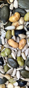 Bio Salat-Kerne-Mix ohne Geschmacksverstärker