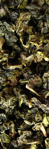 China Milky Oolong